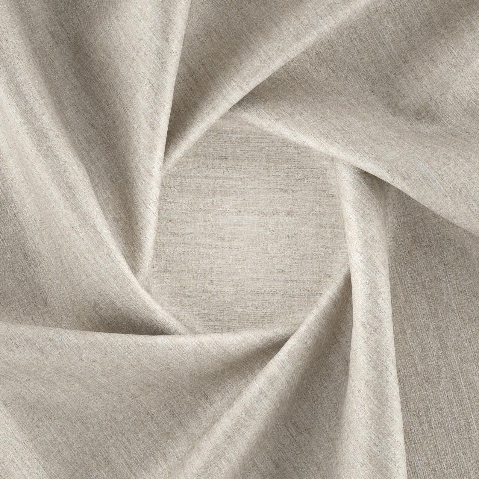 Littoral_papyrus