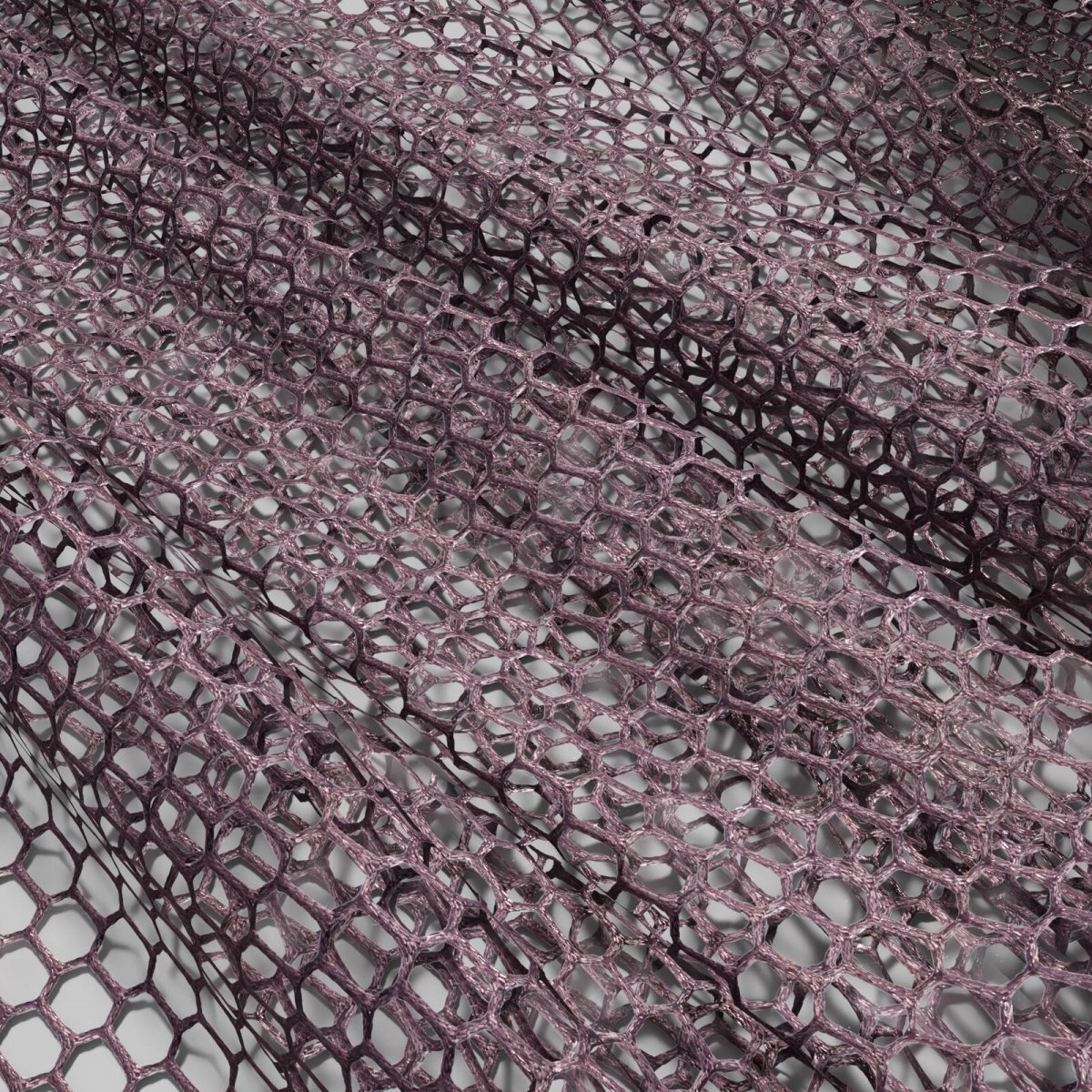 Variety_Violet