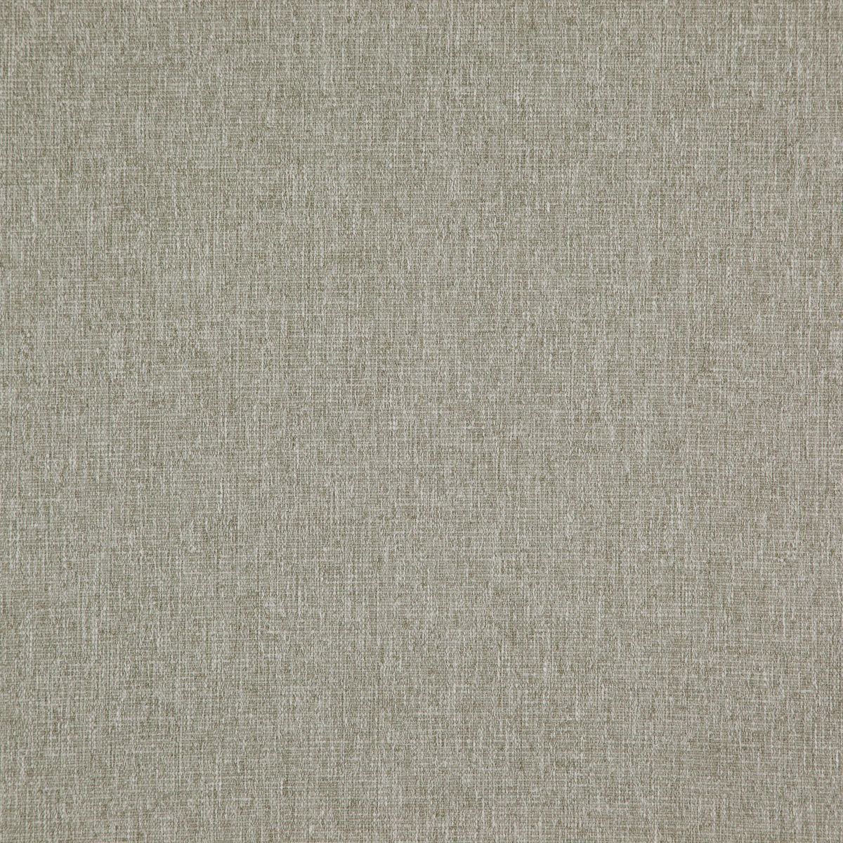 Speck
