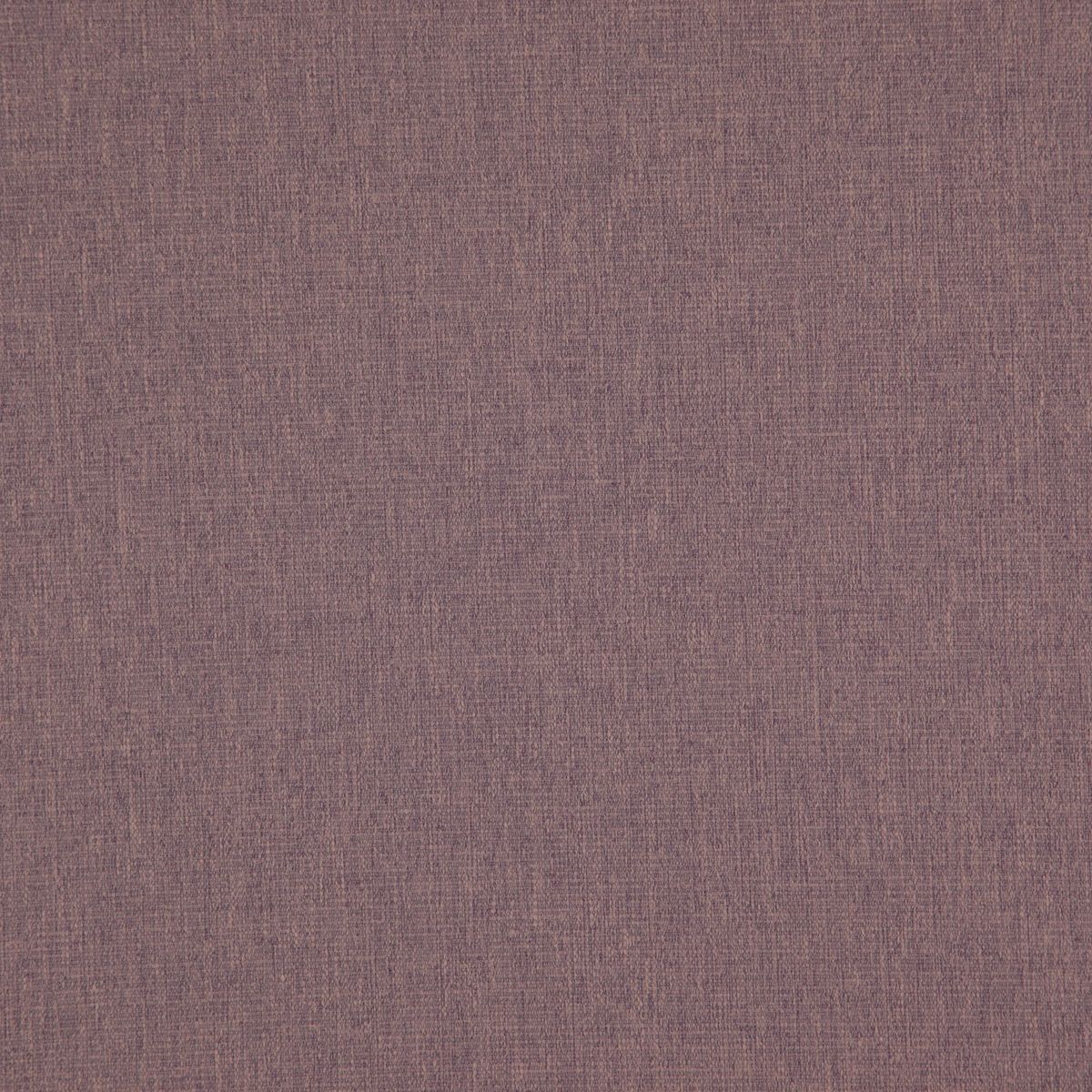 Speck