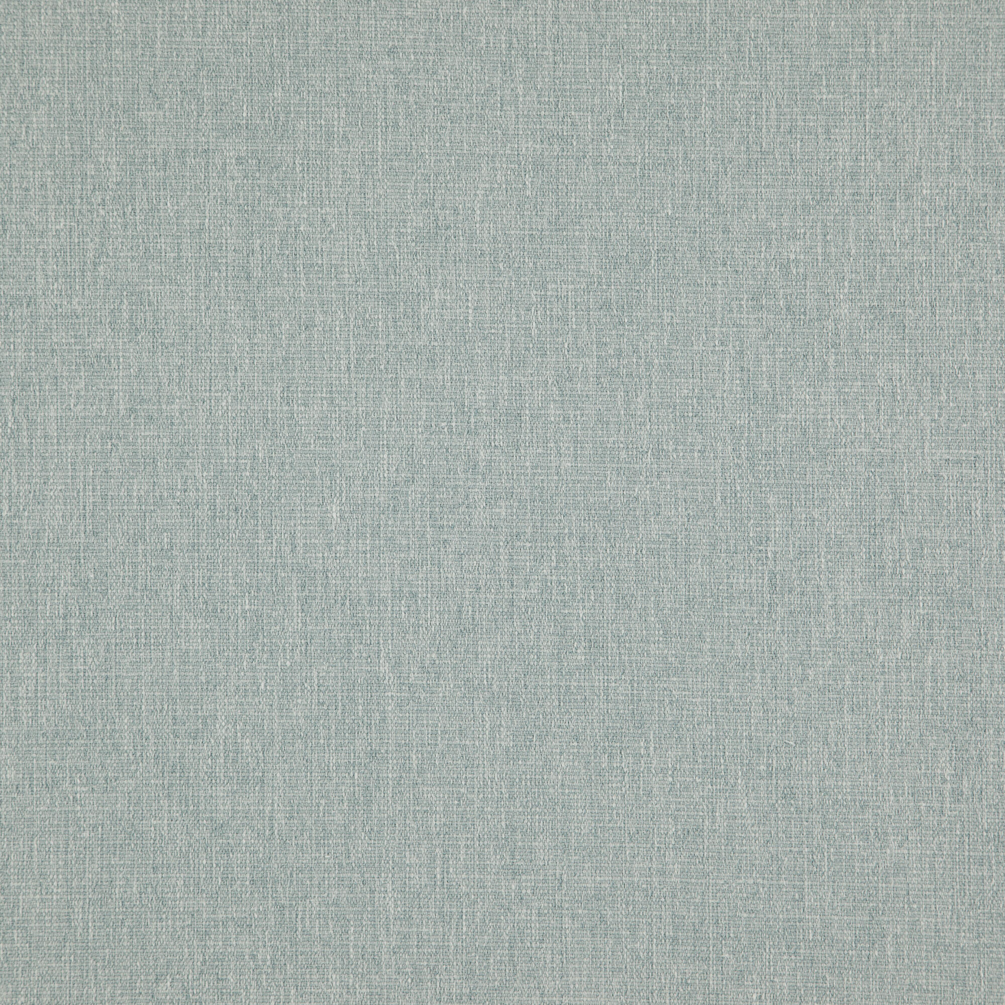 Speck