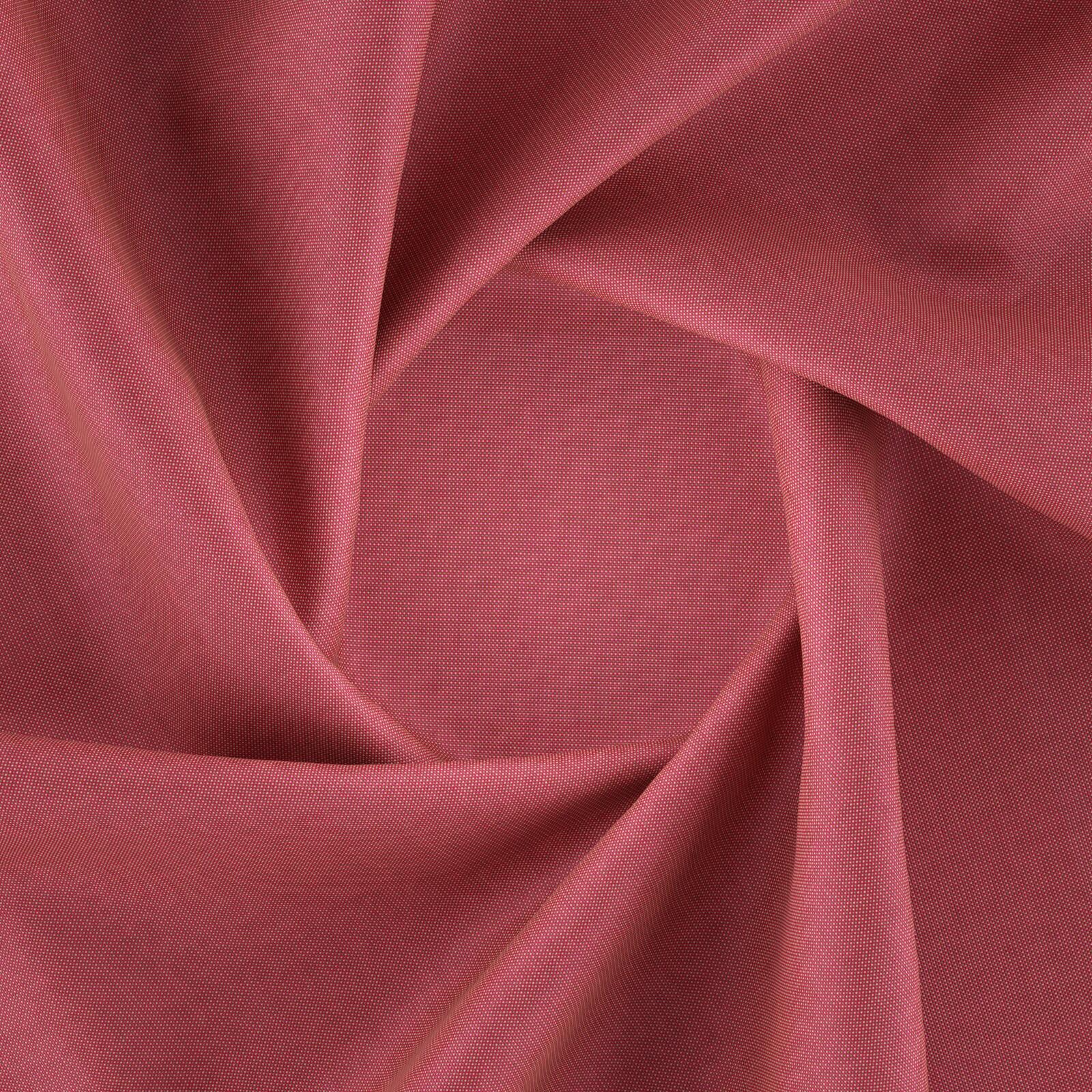 Tyberton_Tulip