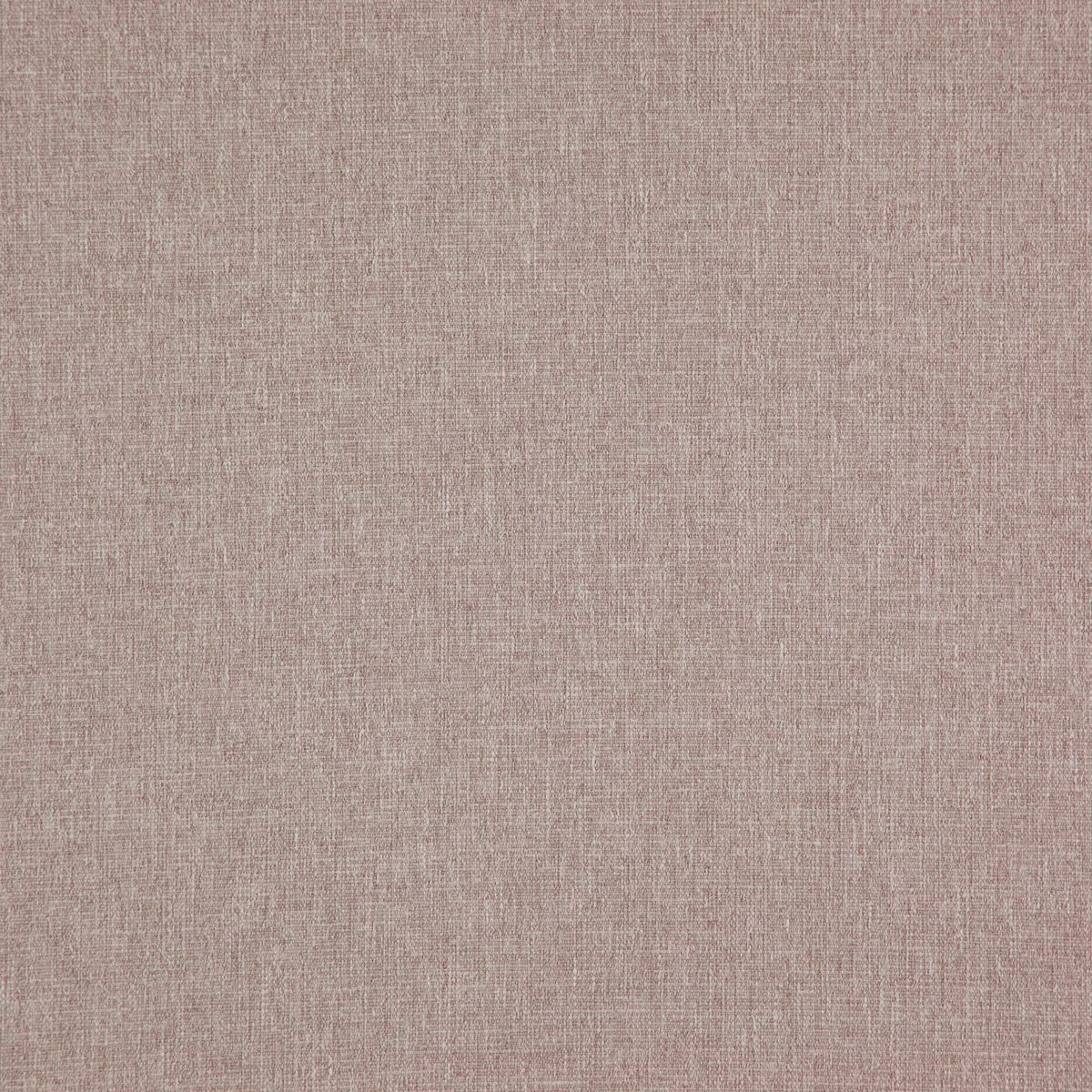 Speck
