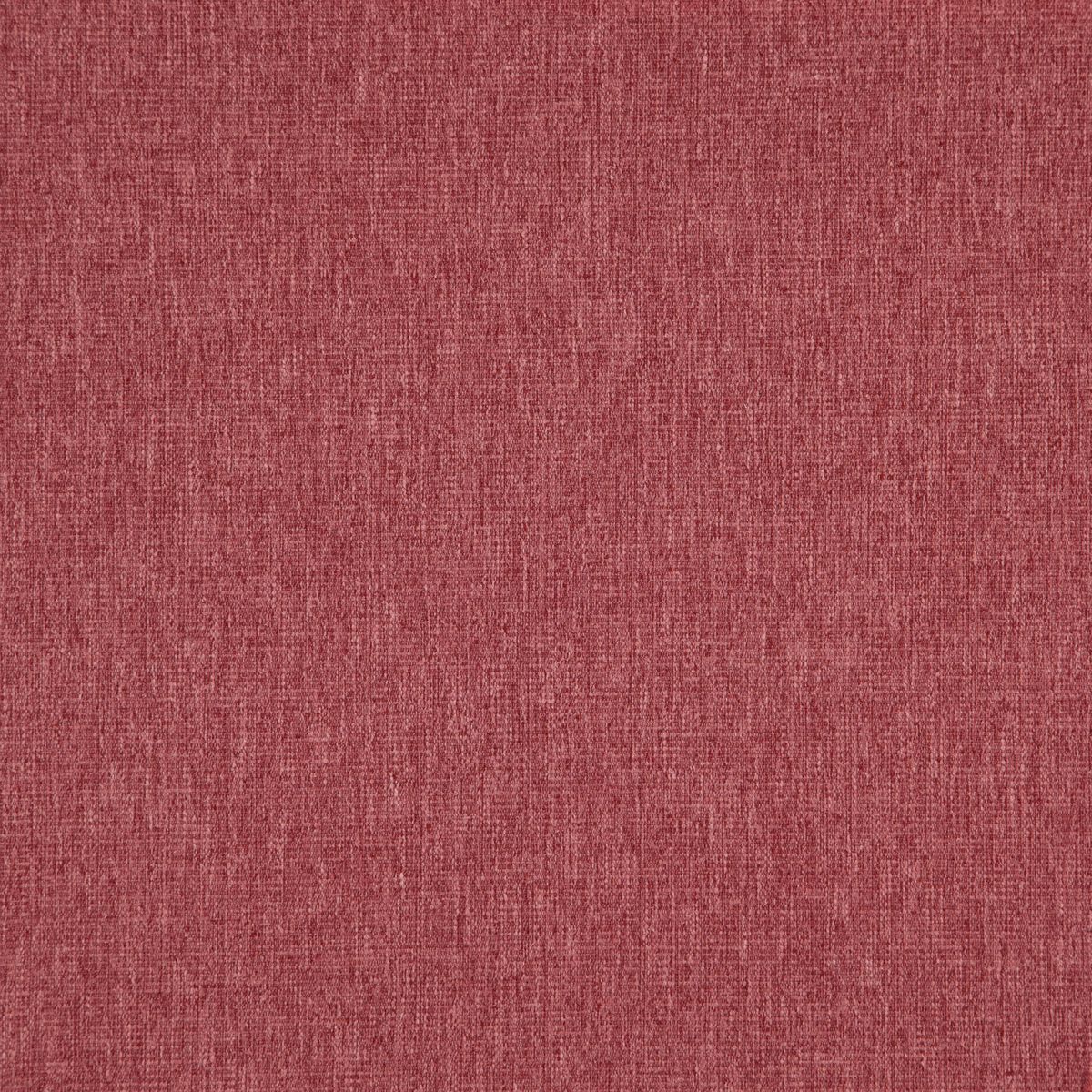 Speck