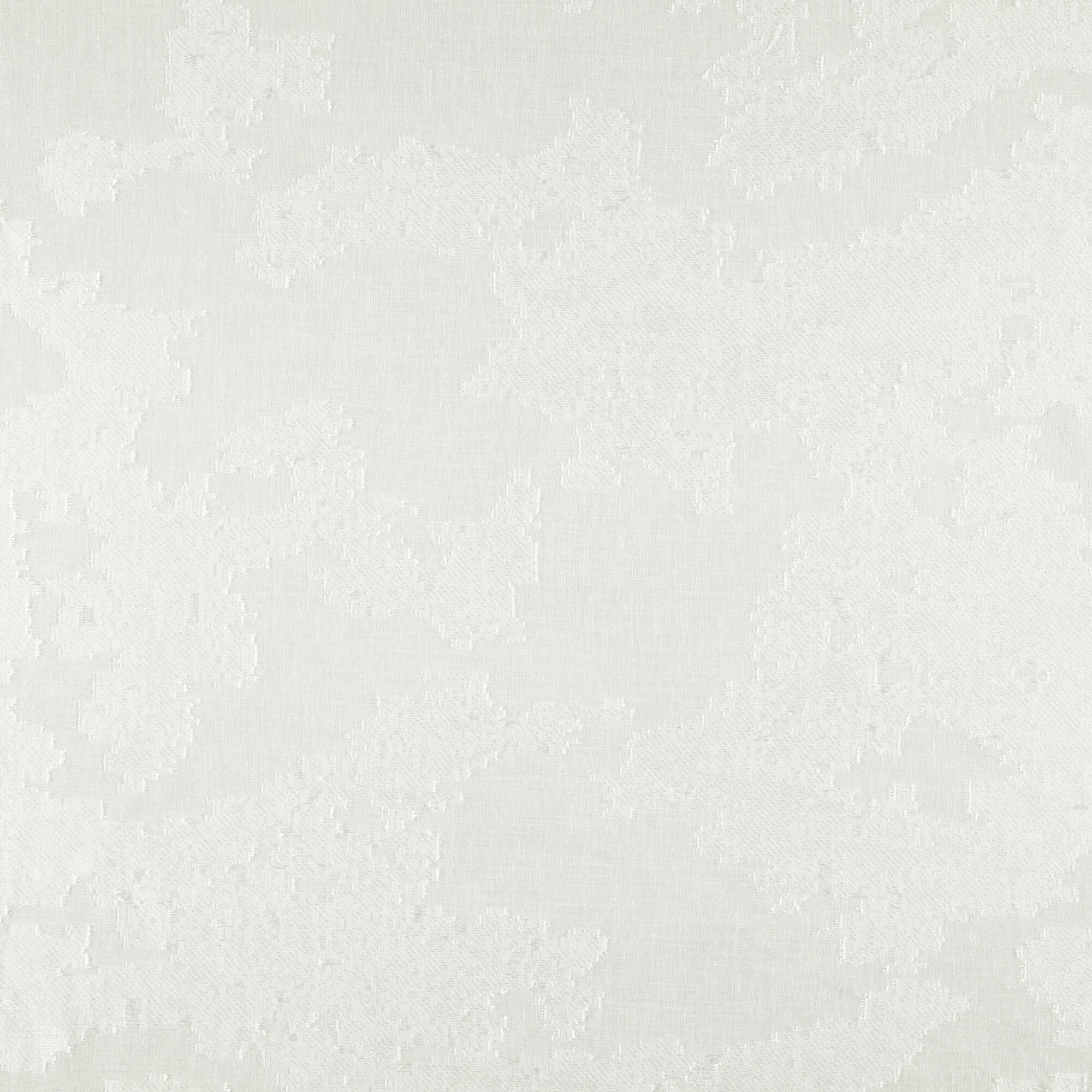 Monterey_Bone