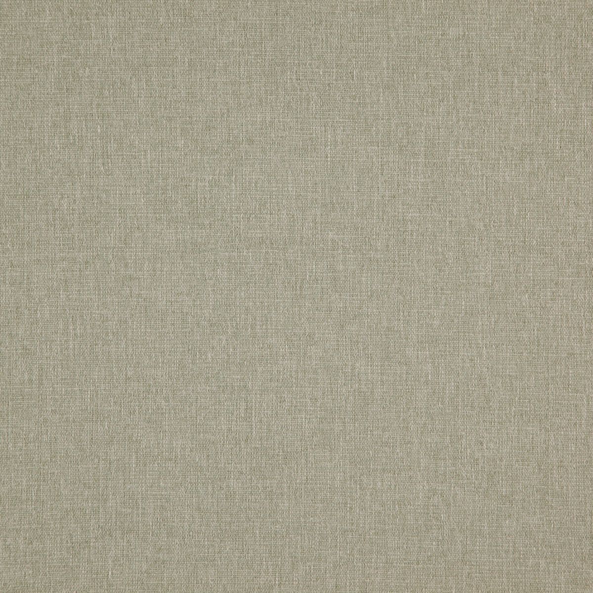 Speck
