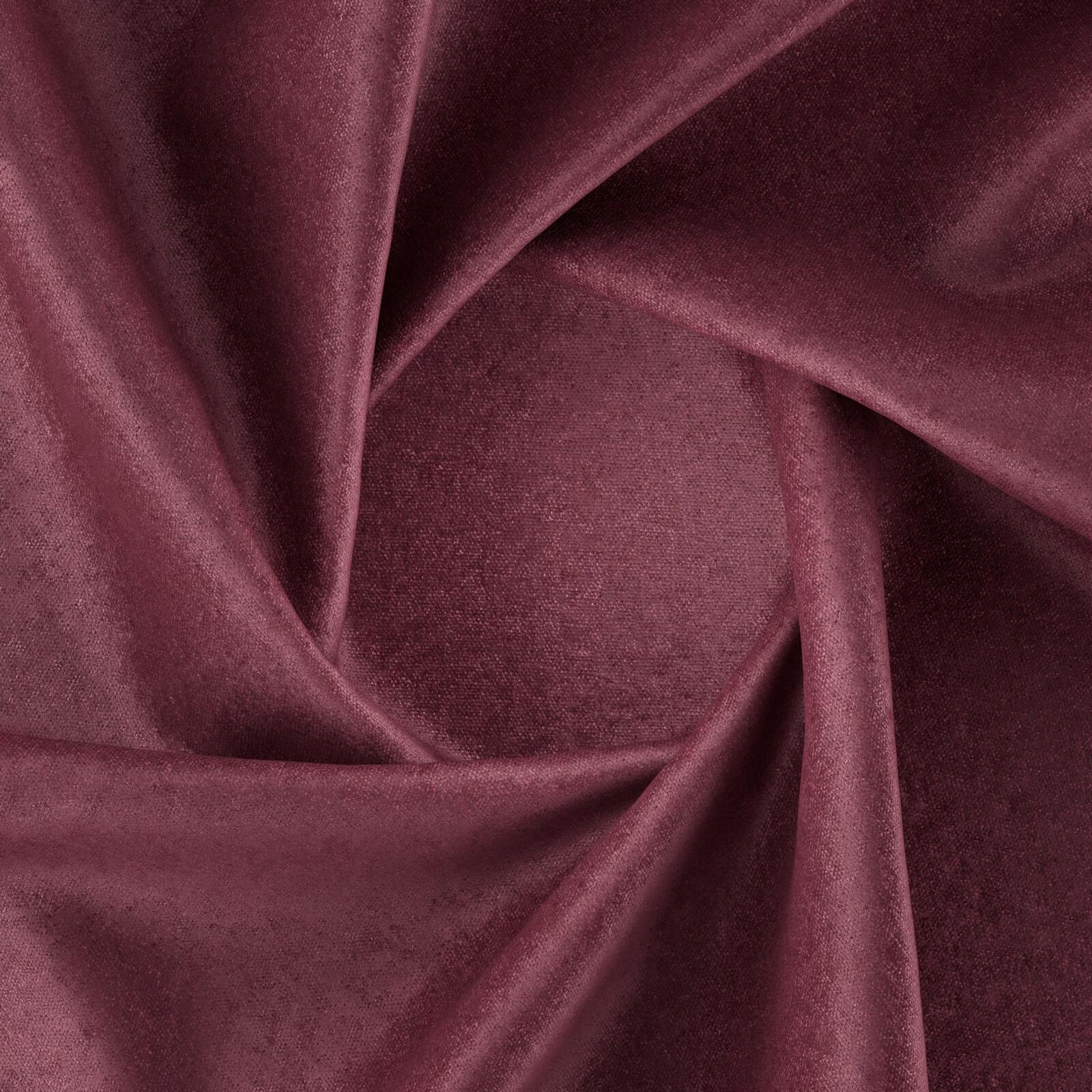 Salsa_Peony