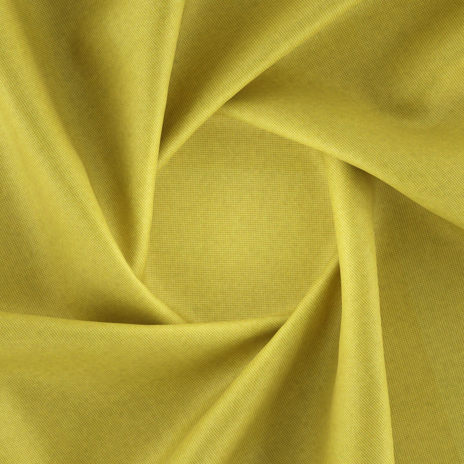 Tyberton_Sunflower