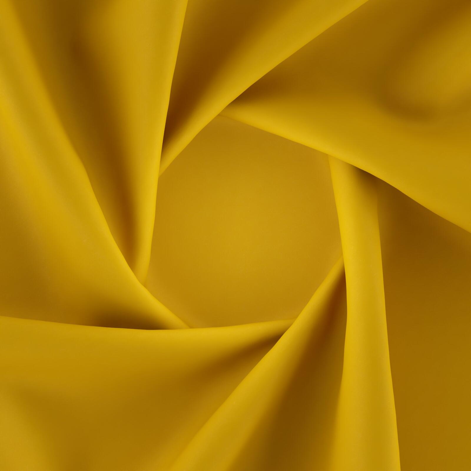 Welfare_Mustard