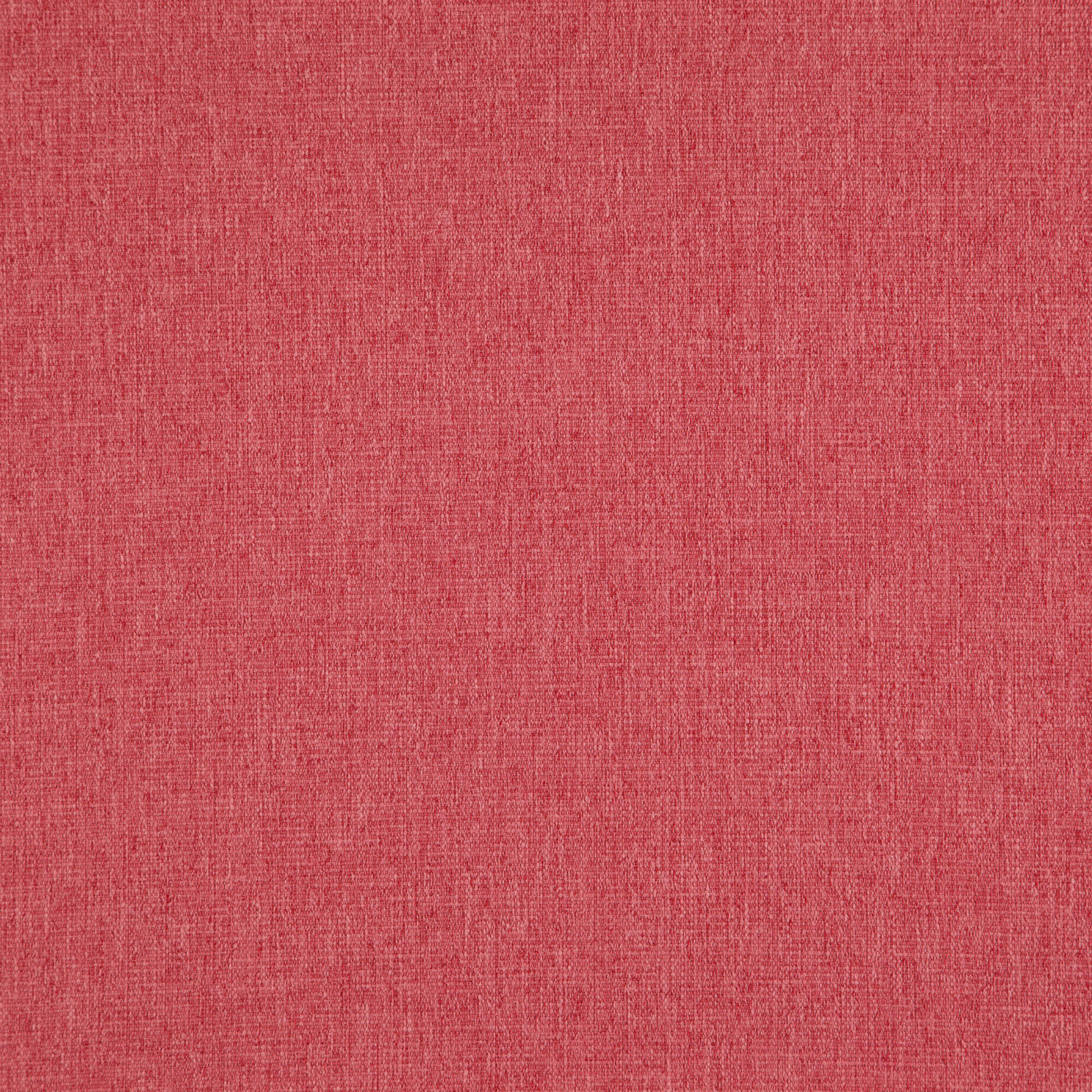 Speck