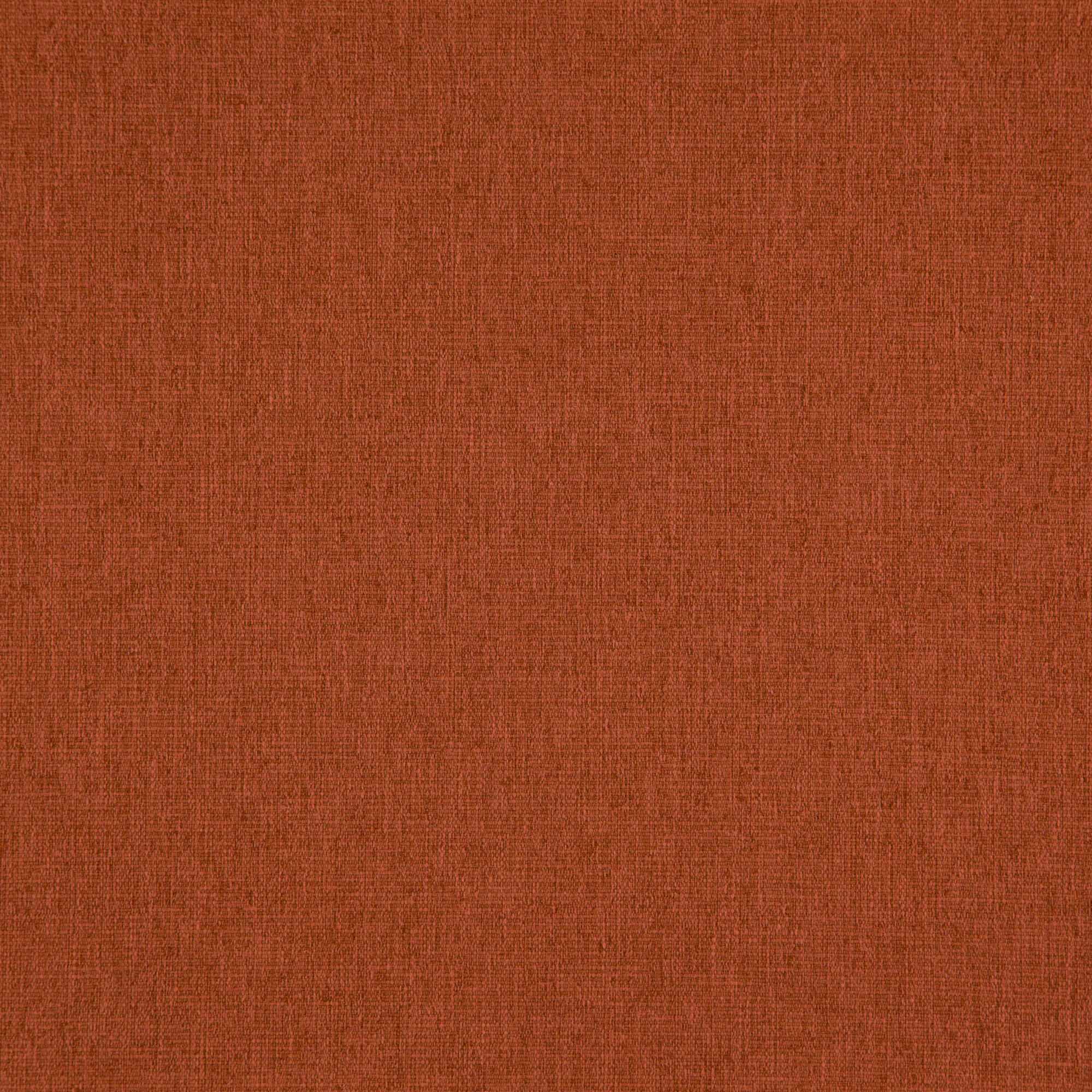 Speck