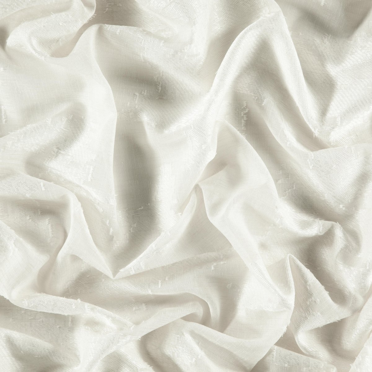 Monterey_Bone