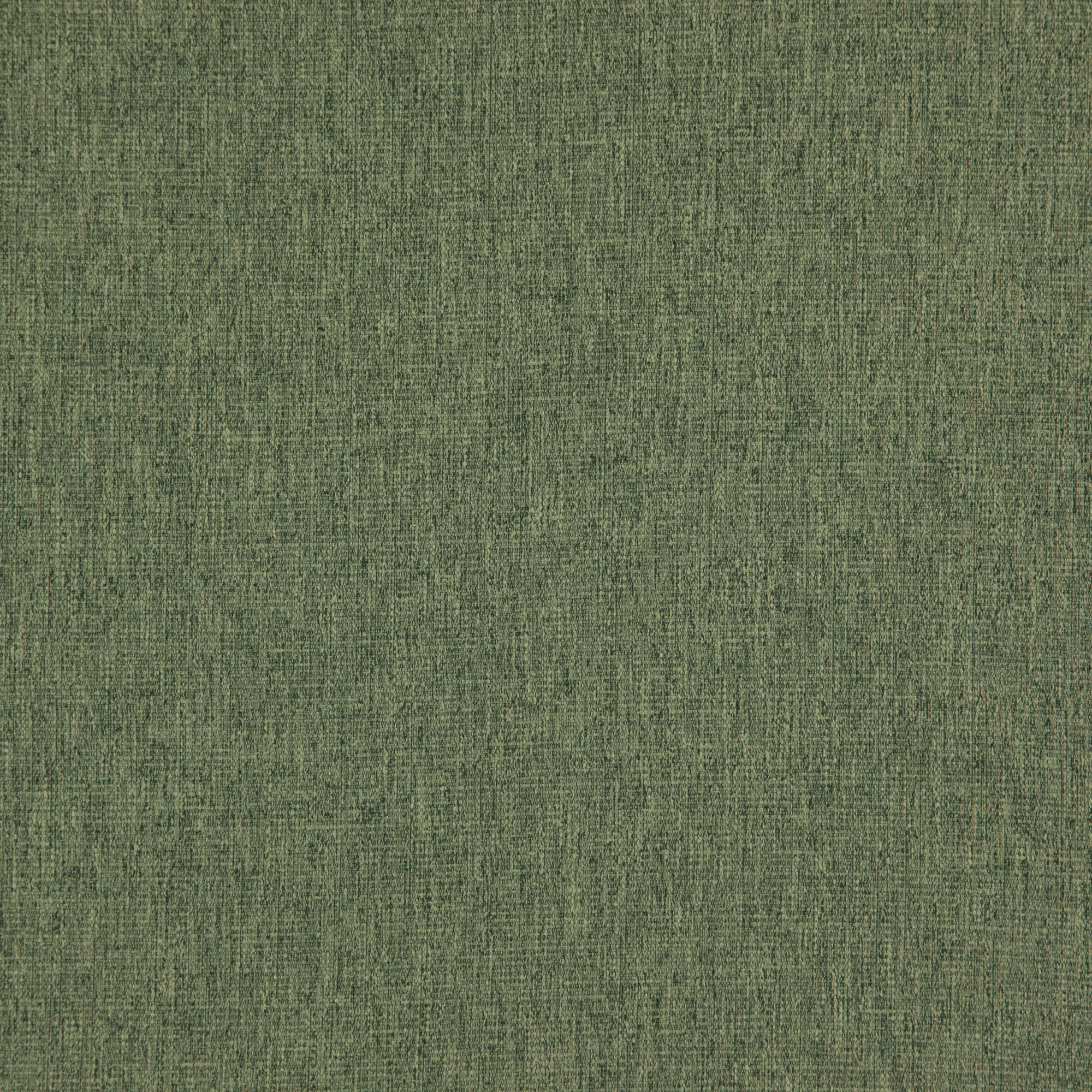 Speck
