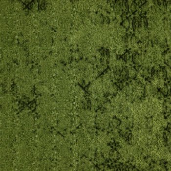 Marie Pesto